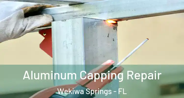 Aluminum Capping Repair Wekiwa Springs - FL