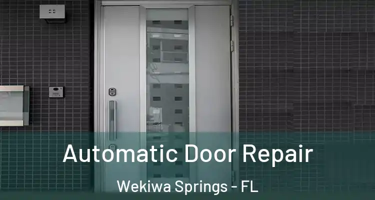 Automatic Door Repair Wekiwa Springs - FL