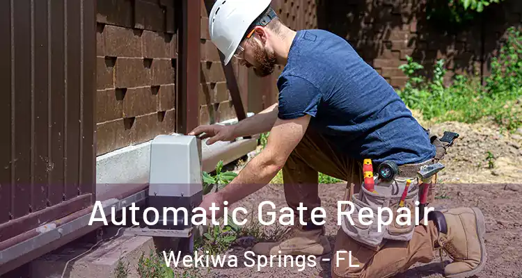 Automatic Gate Repair Wekiwa Springs - FL