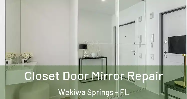 Closet Door Mirror Repair Wekiwa Springs - FL