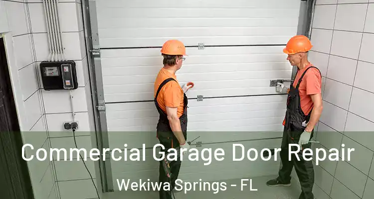 Commercial Garage Door Repair Wekiwa Springs - FL