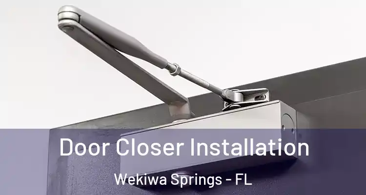 Door Closer Installation Wekiwa Springs - FL