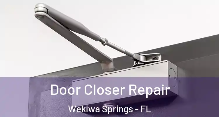 Door Closer Repair Wekiwa Springs - FL