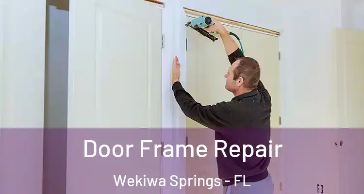 Door Frame Repair Wekiwa Springs - FL