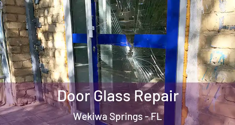 Door Glass Repair Wekiwa Springs - FL