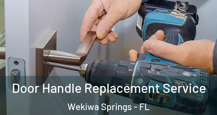 Door Handle Replacement Service Wekiwa Springs - FL