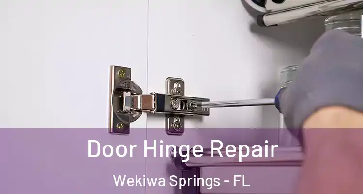 Door Hinge Repair Wekiwa Springs - FL