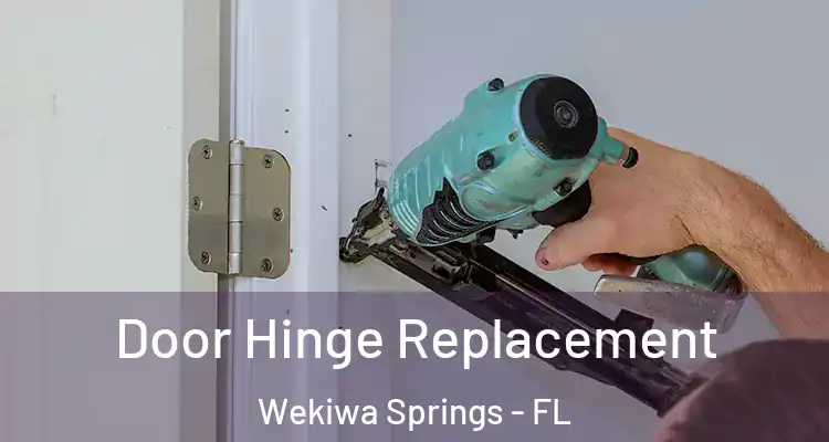 Door Hinge Replacement Wekiwa Springs - FL