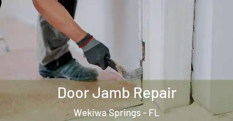 Door Jamb Repair Wekiwa Springs - FL