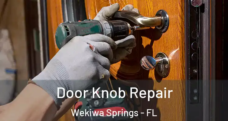 Door Knob Repair Wekiwa Springs - FL