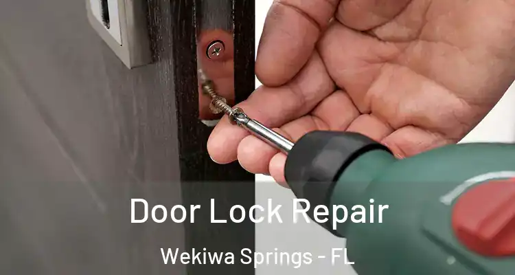 Door Lock Repair Wekiwa Springs - FL
