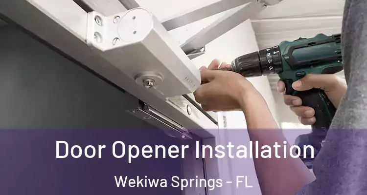 Door Opener Installation Wekiwa Springs - FL