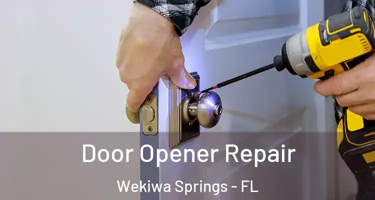 Door Opener Repair Wekiwa Springs - FL