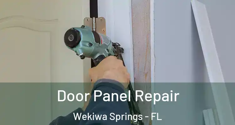 Door Panel Repair Wekiwa Springs - FL