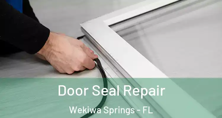 Door Seal Repair Wekiwa Springs - FL