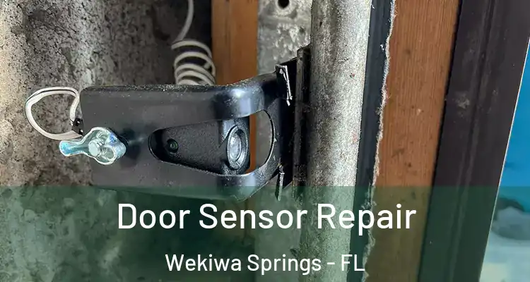 Door Sensor Repair Wekiwa Springs - FL