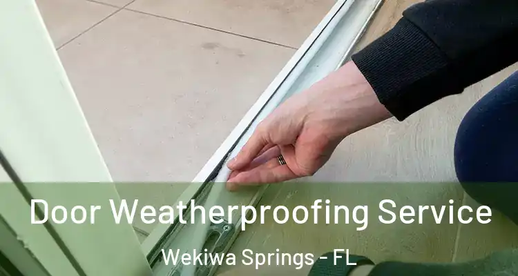 Door Weatherproofing Service Wekiwa Springs - FL