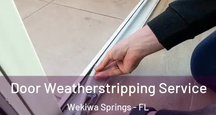 Door Weatherstripping Service Wekiwa Springs - FL