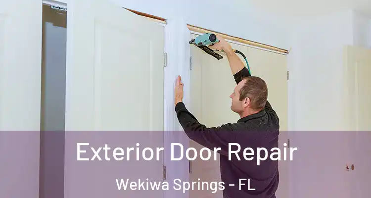 Exterior Door Repair Wekiwa Springs - FL