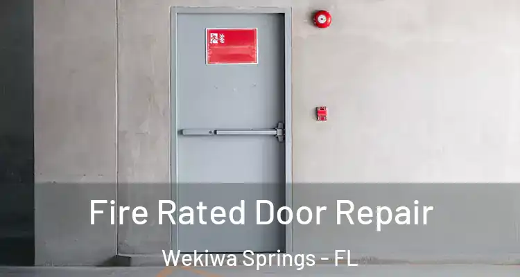 Fire Rated Door Repair Wekiwa Springs - FL