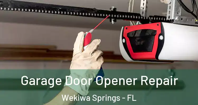 Garage Door Opener Repair Wekiwa Springs - FL