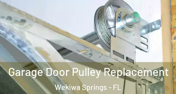 Garage Door Pulley Replacement Wekiwa Springs - FL