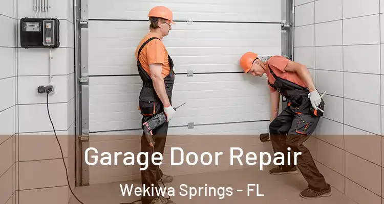 Garage Door Repair Wekiwa Springs - FL