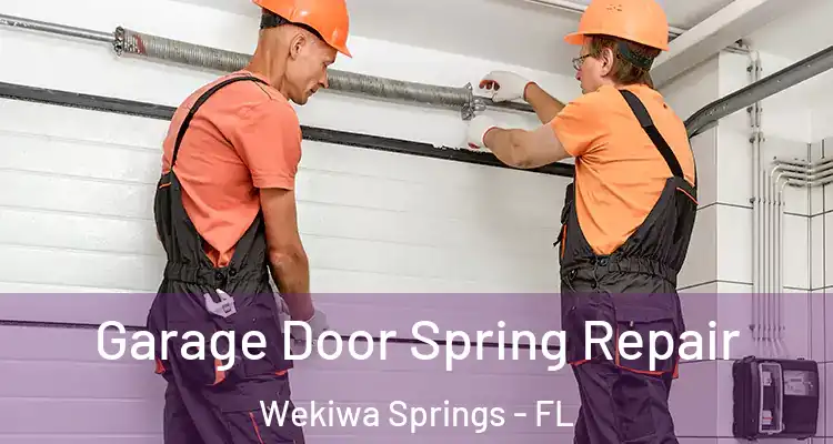 Garage Door Spring Repair Wekiwa Springs - FL