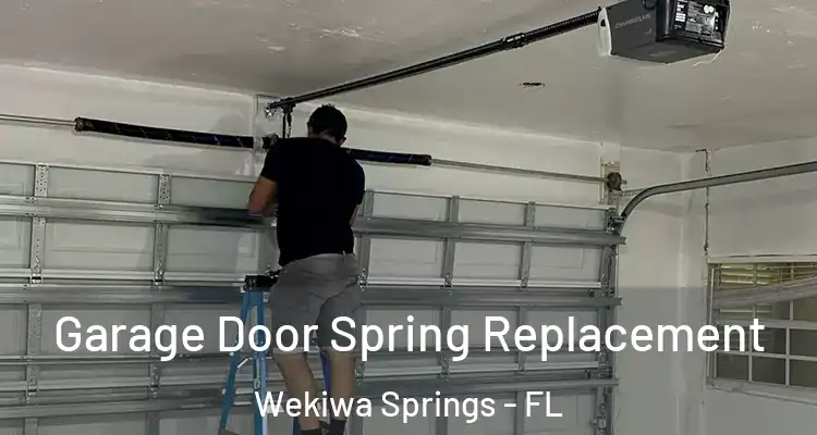 Garage Door Spring Replacement Wekiwa Springs - FL