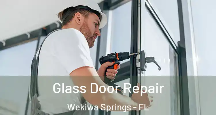 Glass Door Repair Wekiwa Springs - FL