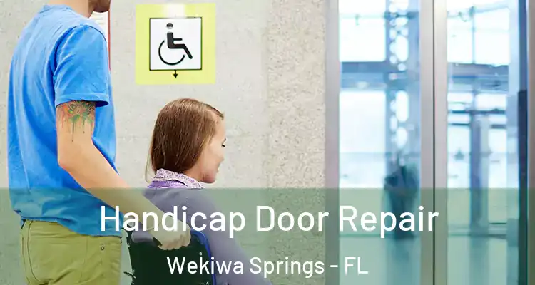 Handicap Door Repair Wekiwa Springs - FL