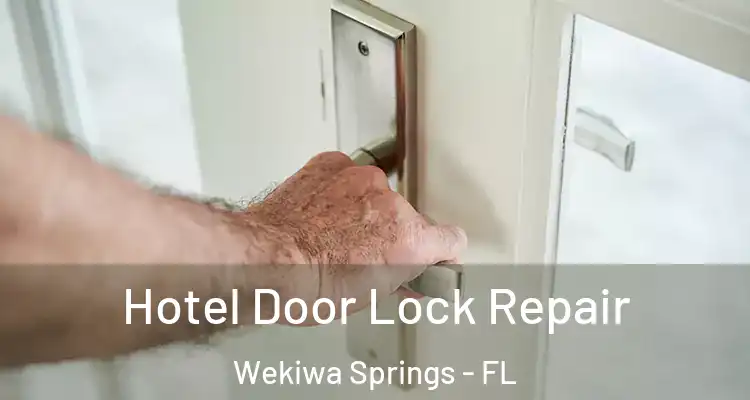 Hotel Door Lock Repair Wekiwa Springs - FL