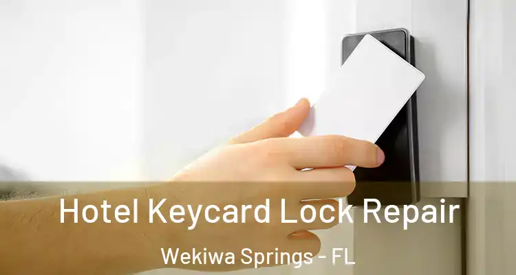 Hotel Keycard Lock Repair Wekiwa Springs - FL