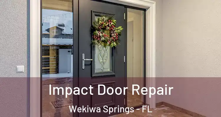 Impact Door Repair Wekiwa Springs - FL