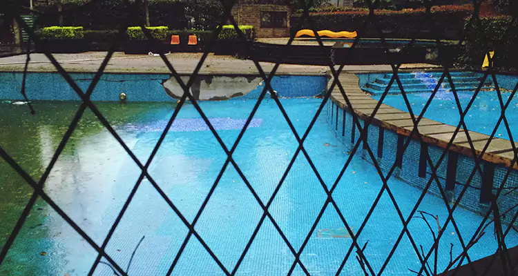 Lanai Screen Repair in Wekiwa Springs, FL