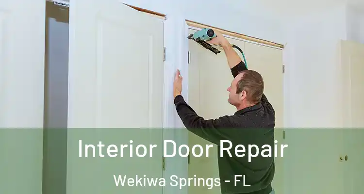 Interior Door Repair Wekiwa Springs - FL