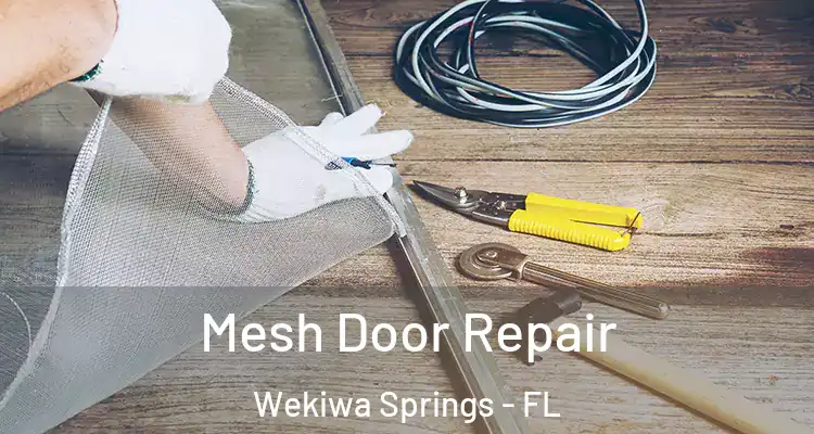 Mesh Door Repair Wekiwa Springs - FL
