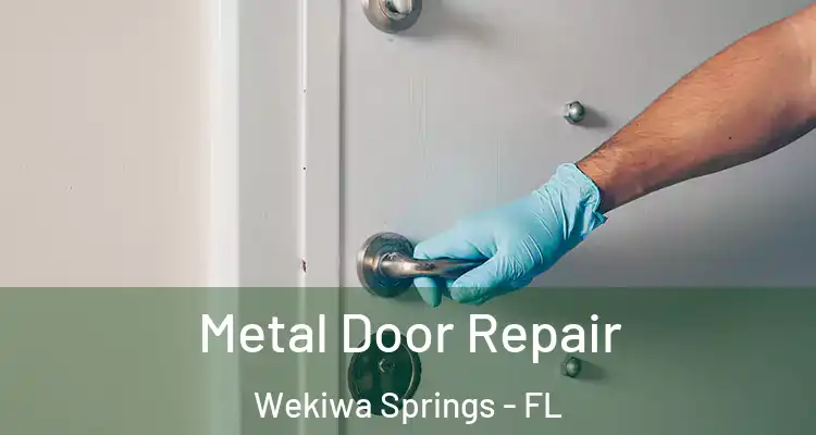 Metal Door Repair Wekiwa Springs - FL