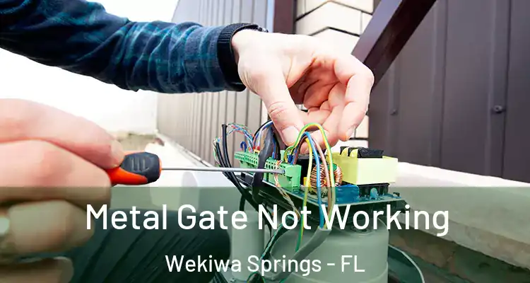 Metal Gate Not Working Wekiwa Springs - FL
