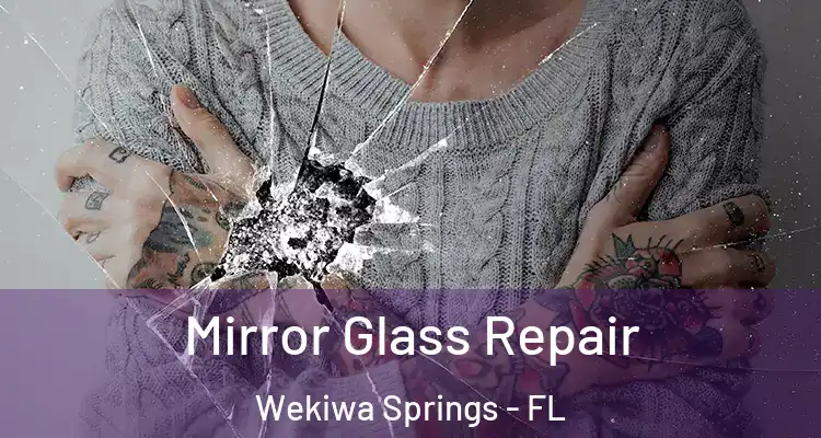 Mirror Glass Repair Wekiwa Springs - FL