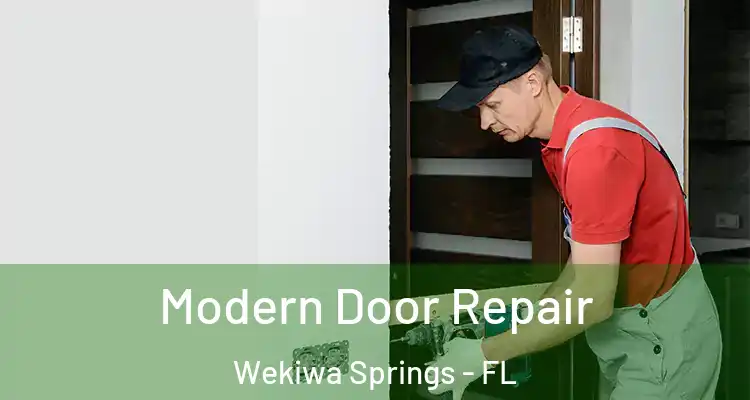Modern Door Repair Wekiwa Springs - FL