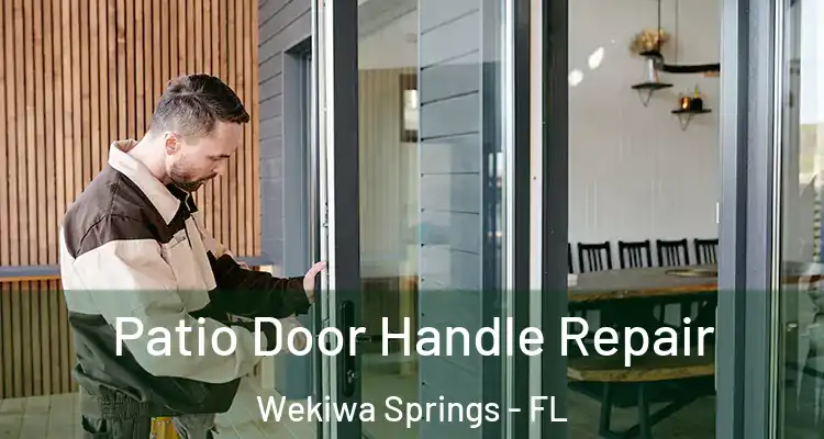 Patio Door Handle Repair Wekiwa Springs - FL