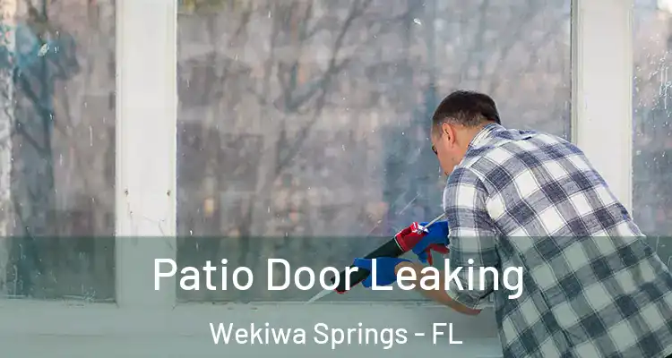 Patio Door Leaking Wekiwa Springs - FL