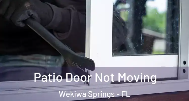 Patio Door Not Moving Wekiwa Springs - FL