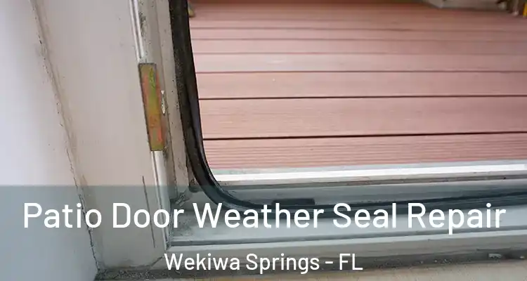 Patio Door Weather Seal Repair Wekiwa Springs - FL