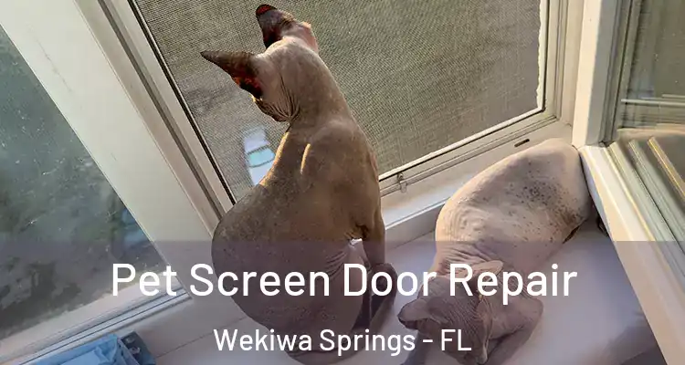 Pet Screen Door Repair Wekiwa Springs - FL
