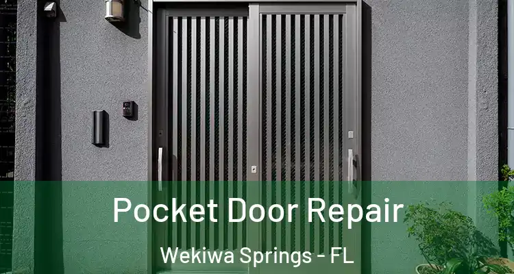 Pocket Door Repair Wekiwa Springs - FL