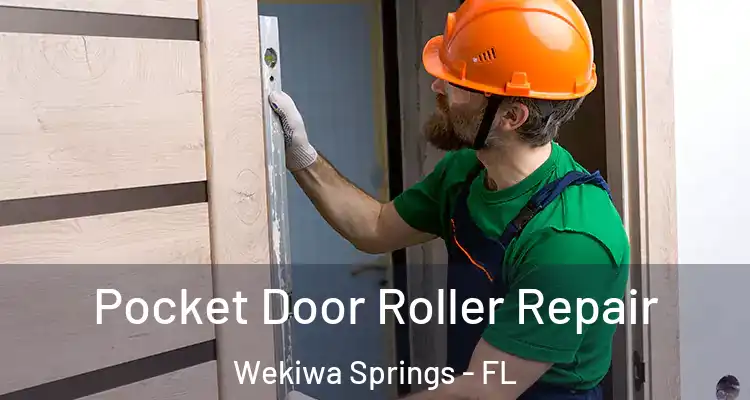 Pocket Door Roller Repair Wekiwa Springs - FL