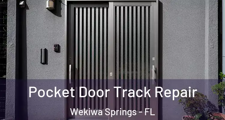 Pocket Door Track Repair Wekiwa Springs - FL