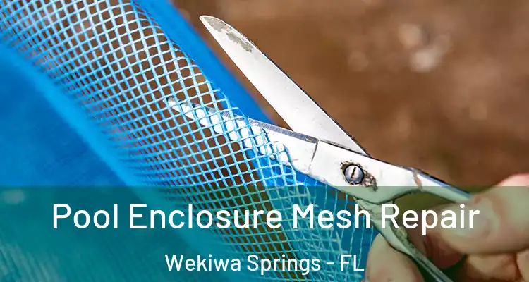 Pool Enclosure Mesh Repair Wekiwa Springs - FL